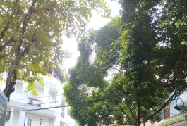 Ngộp Tân Hòa Đông - 4x16m - 4 tầng - Hẻm 8m vỉa hè, Kinh Doanh